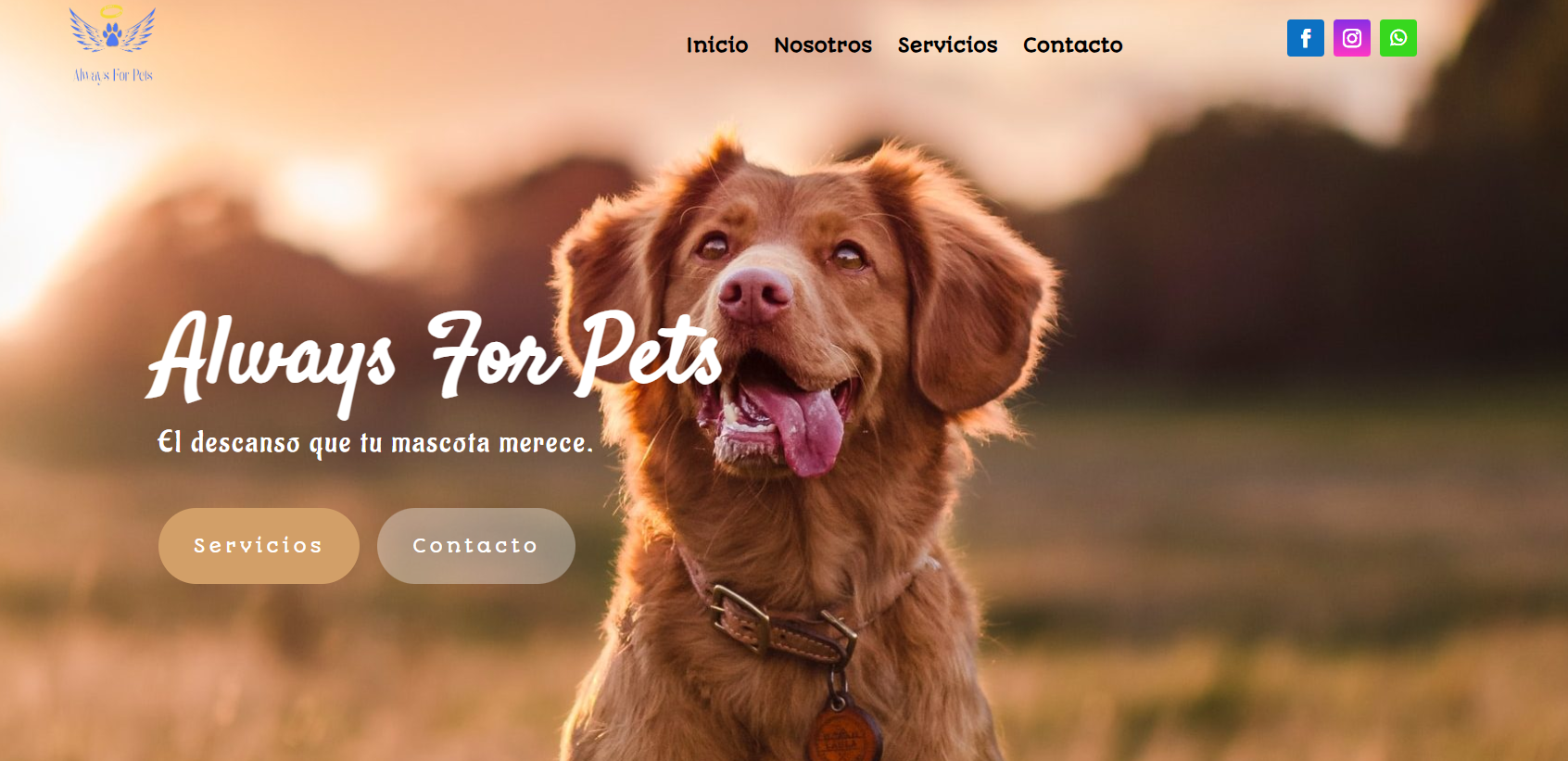 alwaysforpets