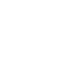 language_48dp_FILL0_wght400_GRAD0_opsz48